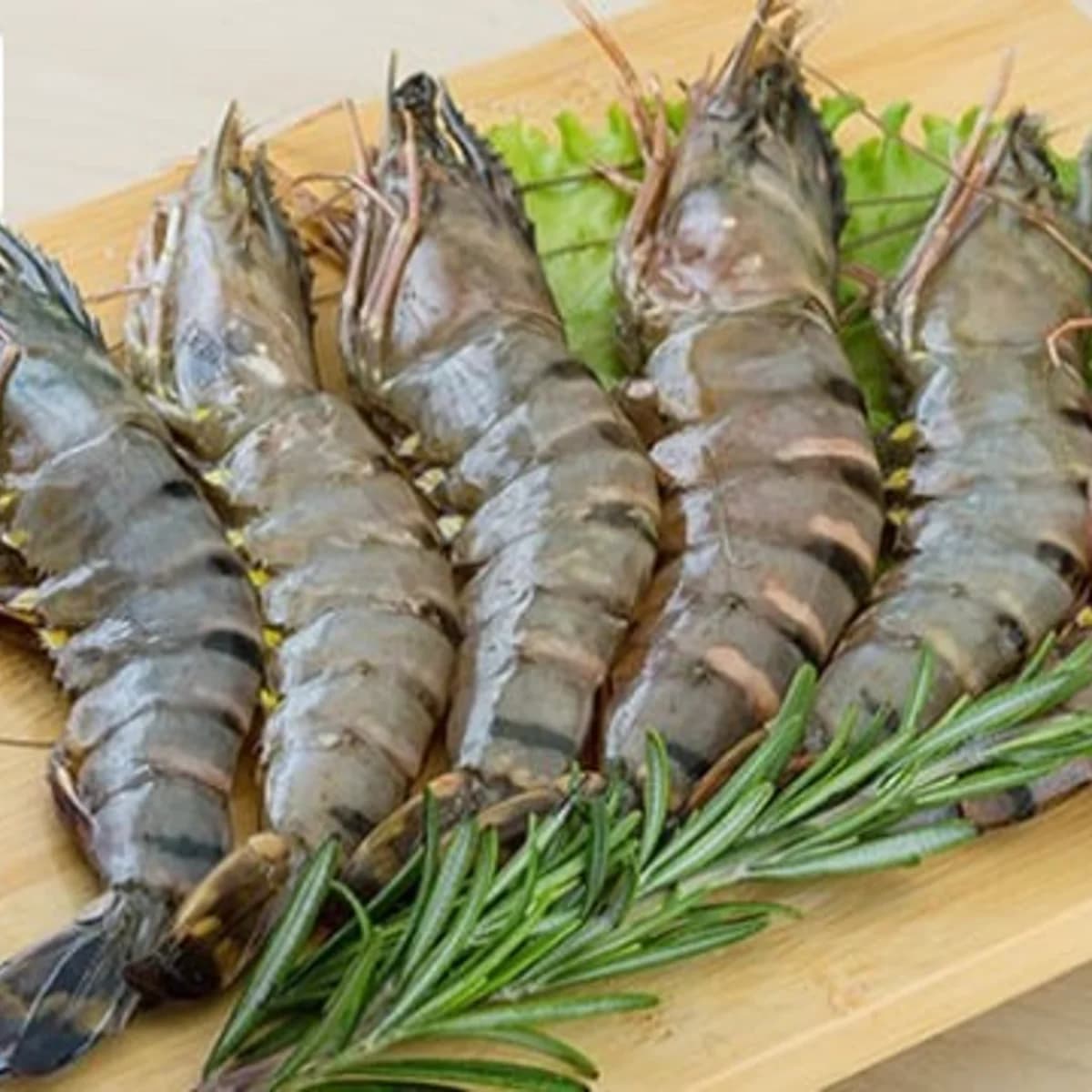 Bagda Shrimp