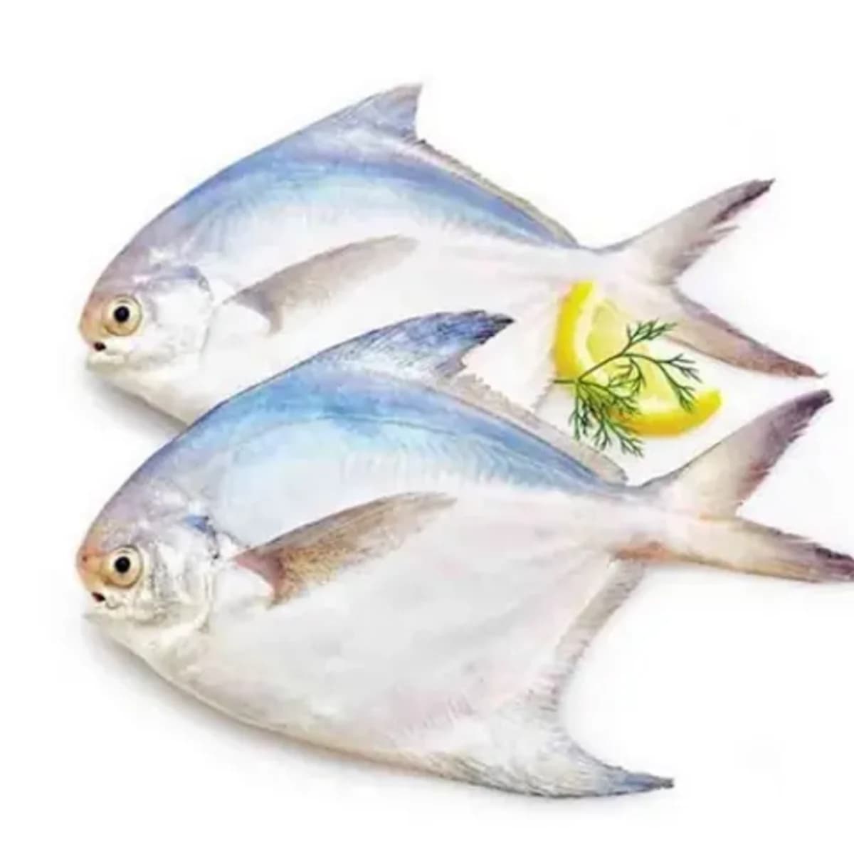 Rupchanda