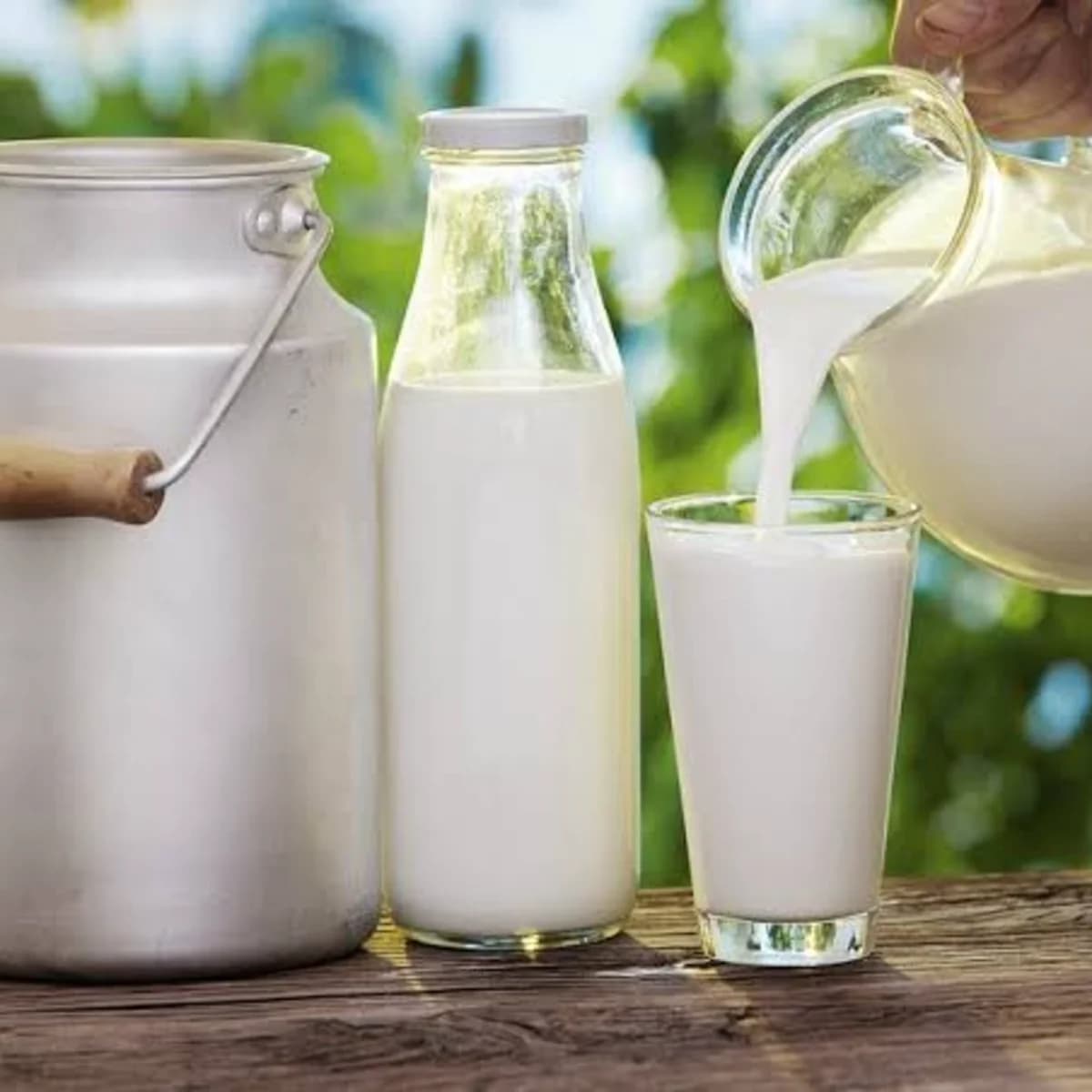 Milk