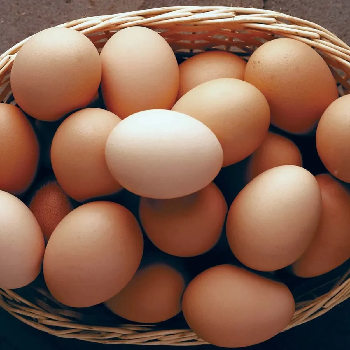 Eggs