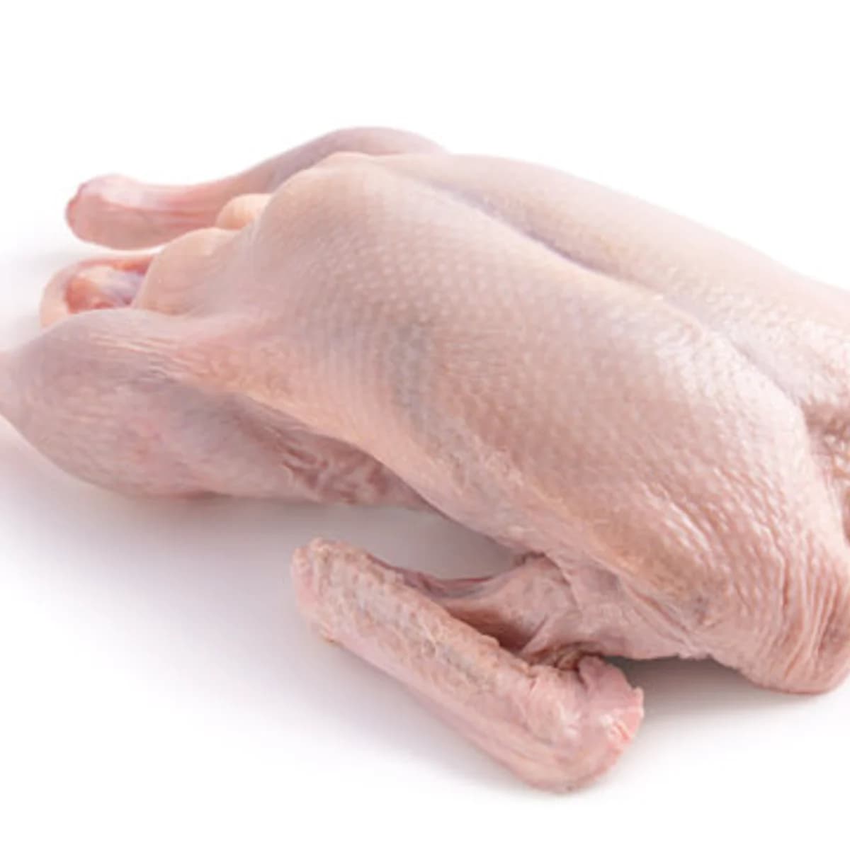 Duck Meat